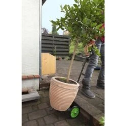 Chariot Diable Pour Bouteille De Gaz Jusqu' à 25 Kg GartenMeister -Stanleyfaco Magasin 11700505 5