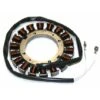 Stator D'alternateur KOHLER 234859 - 237329 - 237330 - 237331 - 237399 - 237716 - 237878-S - A-237329 -Stanleyfaco Magasin 19659435 1