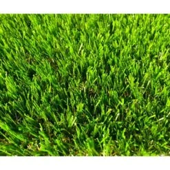 Brosseuse électrique Aspirante Sans Fil MGS -Stanleyfaco Magasin 58820213 3